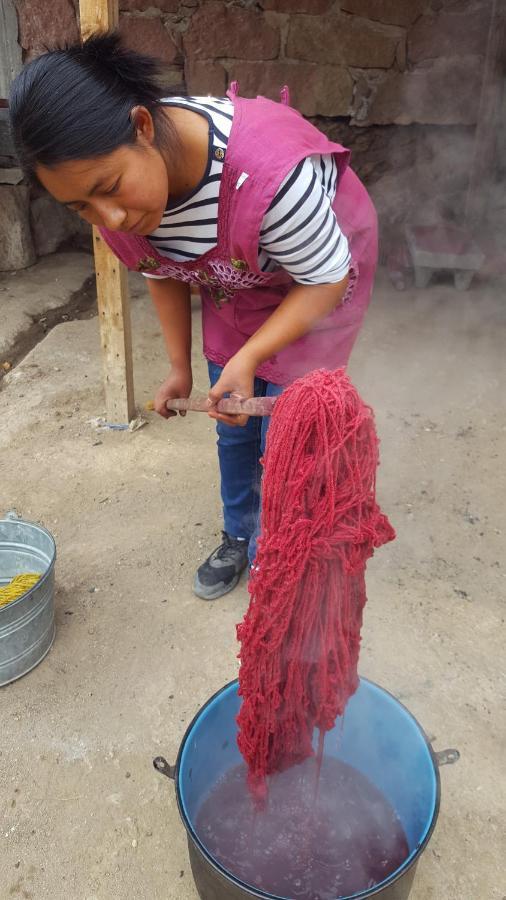 Lizu Tu Casa En Un Pueblo Zapoteca Bed and Breakfast Teotitlán del Valle Εξωτερικό φωτογραφία