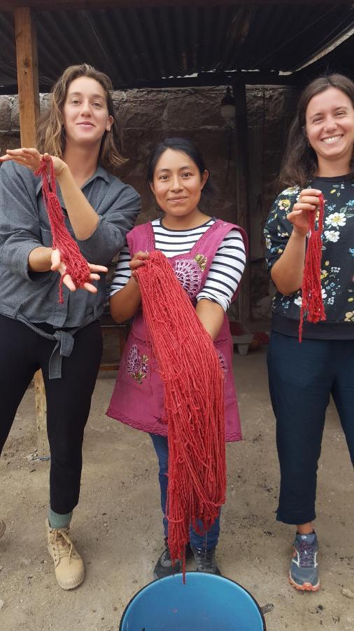 Lizu Tu Casa En Un Pueblo Zapoteca Bed and Breakfast Teotitlán del Valle Εξωτερικό φωτογραφία