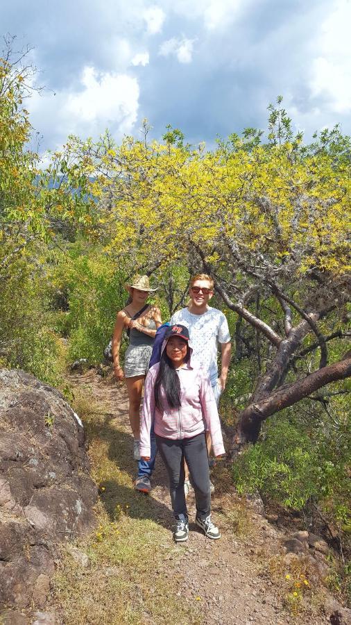 Lizu Tu Casa En Un Pueblo Zapoteca Bed and Breakfast Teotitlán del Valle Εξωτερικό φωτογραφία